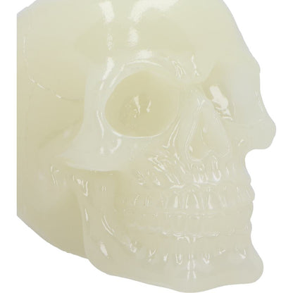 Phosphorescent (Medium) 13cm