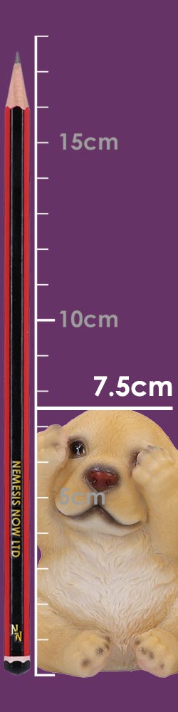 Three Wise Golden Labradors 7.5cm