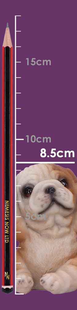 Three Wise Bulldogs 7.5cm