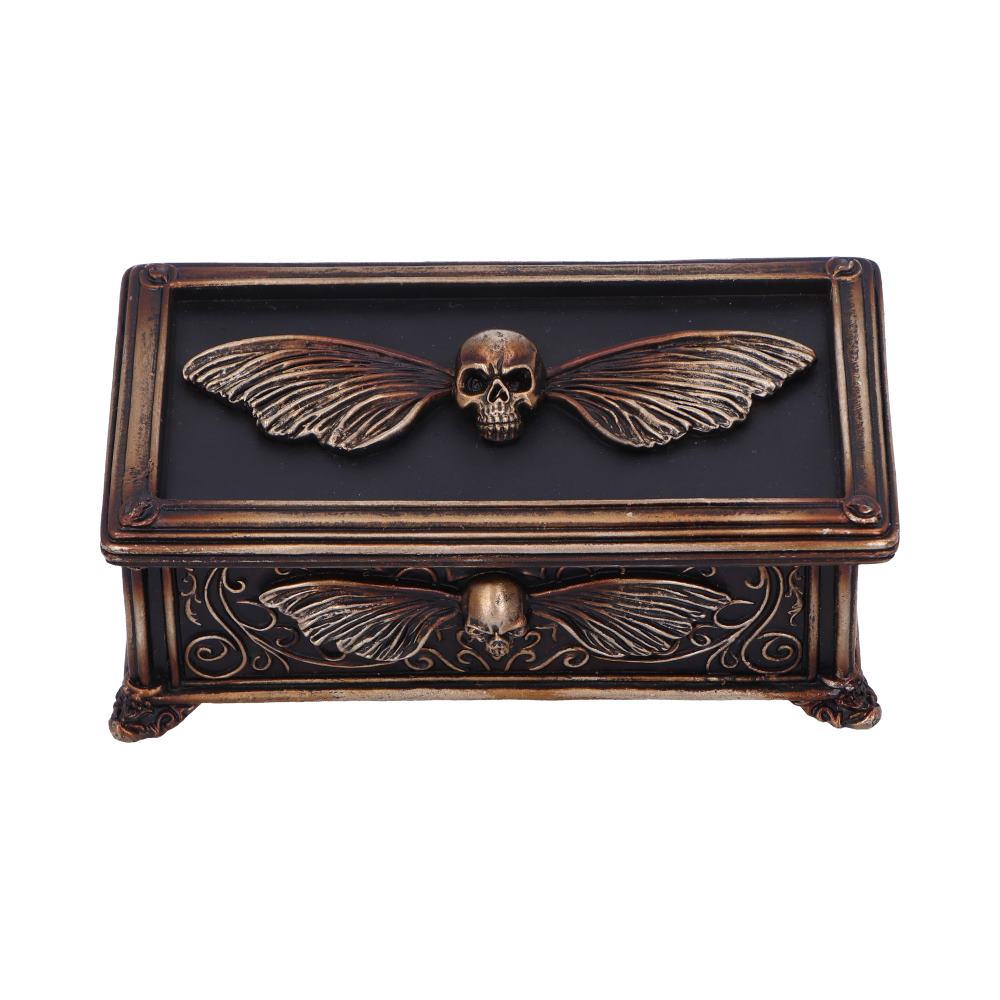 Death's Head Treasure Box