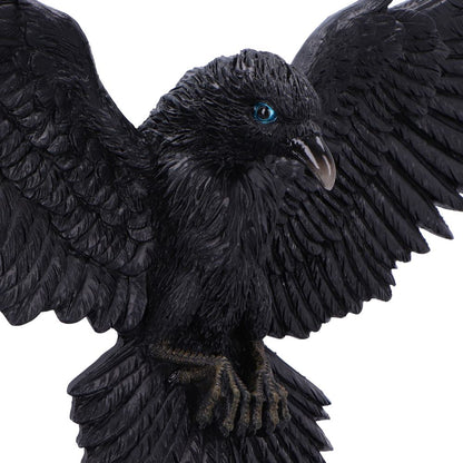 Flight of the Raven 36cm