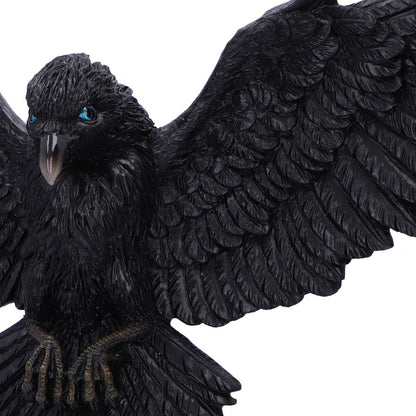 Flight of the Raven 36cm