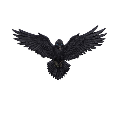 Flight of the Raven 36cm