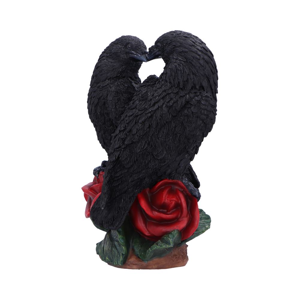 Raven Romance 20cm