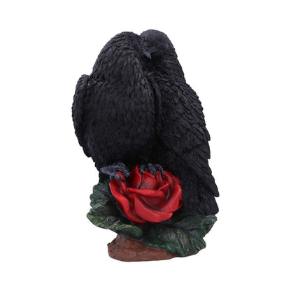 Raven Romance 20cm
