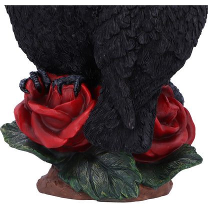Raven Romance 20cm