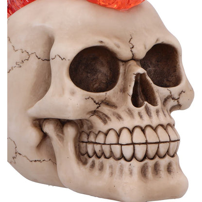 Hot-Headed 19cm