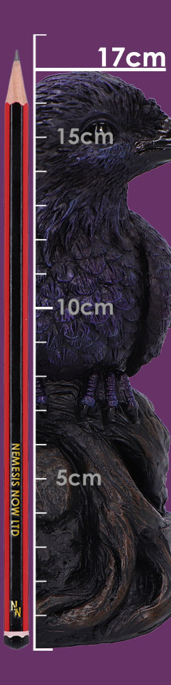 Raven Roost Backflow Incense Burner 17cm