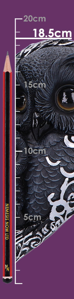 Twilight Trio 18.5cm