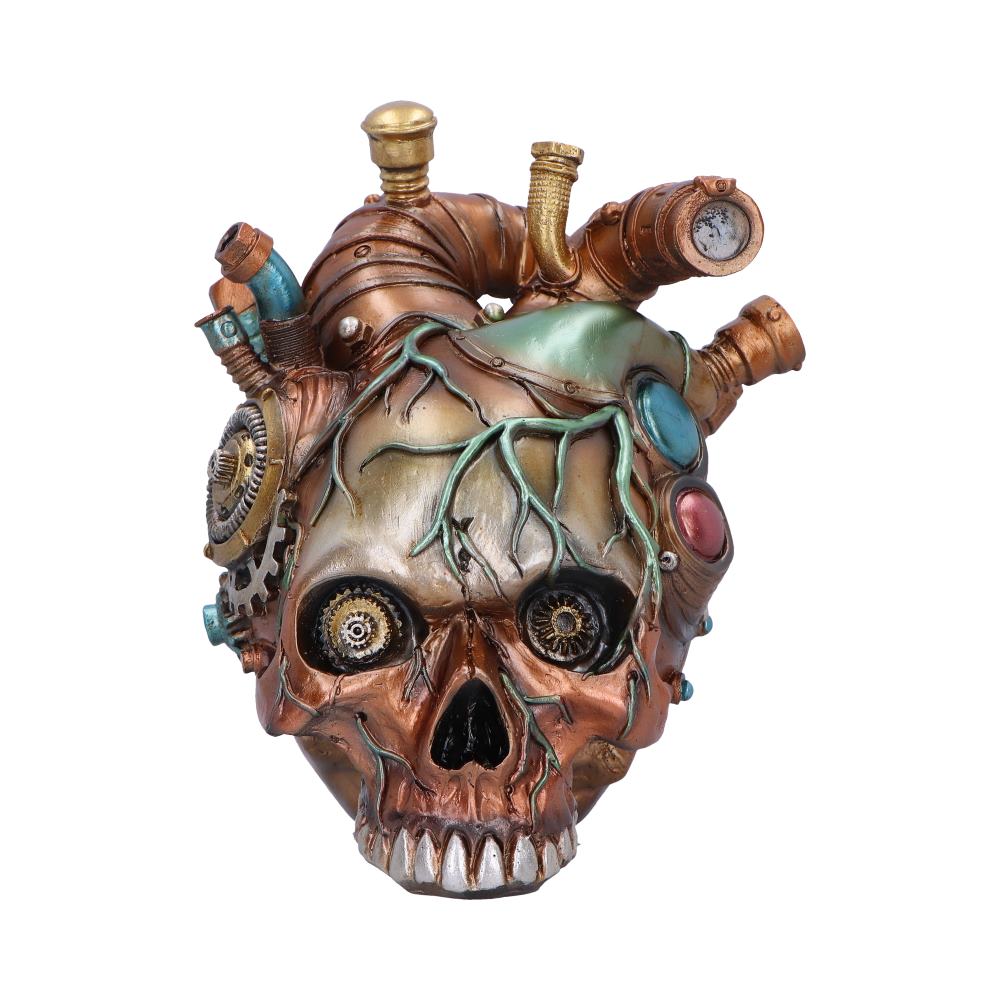 Cardiac Cranium 17.5cm