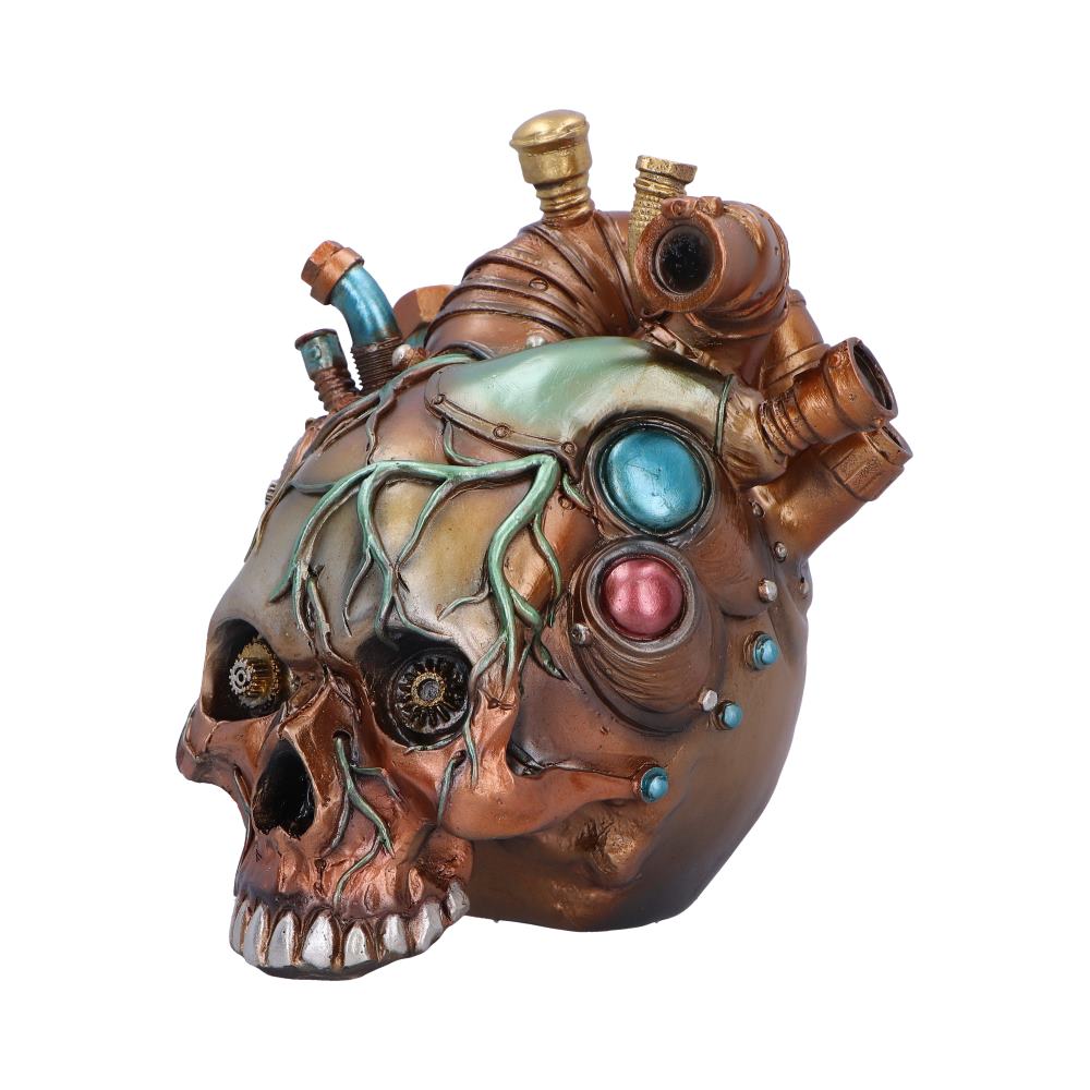 Cardiac Cranium 17.5cm