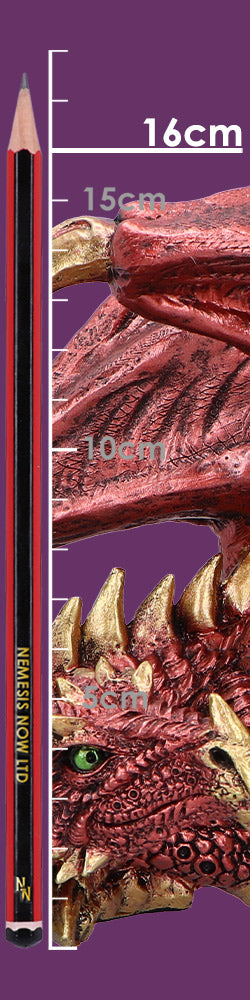 Aaden (Large) 16.3cm