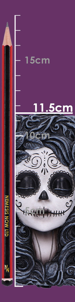 Flor de Muerte Box 11.5cm