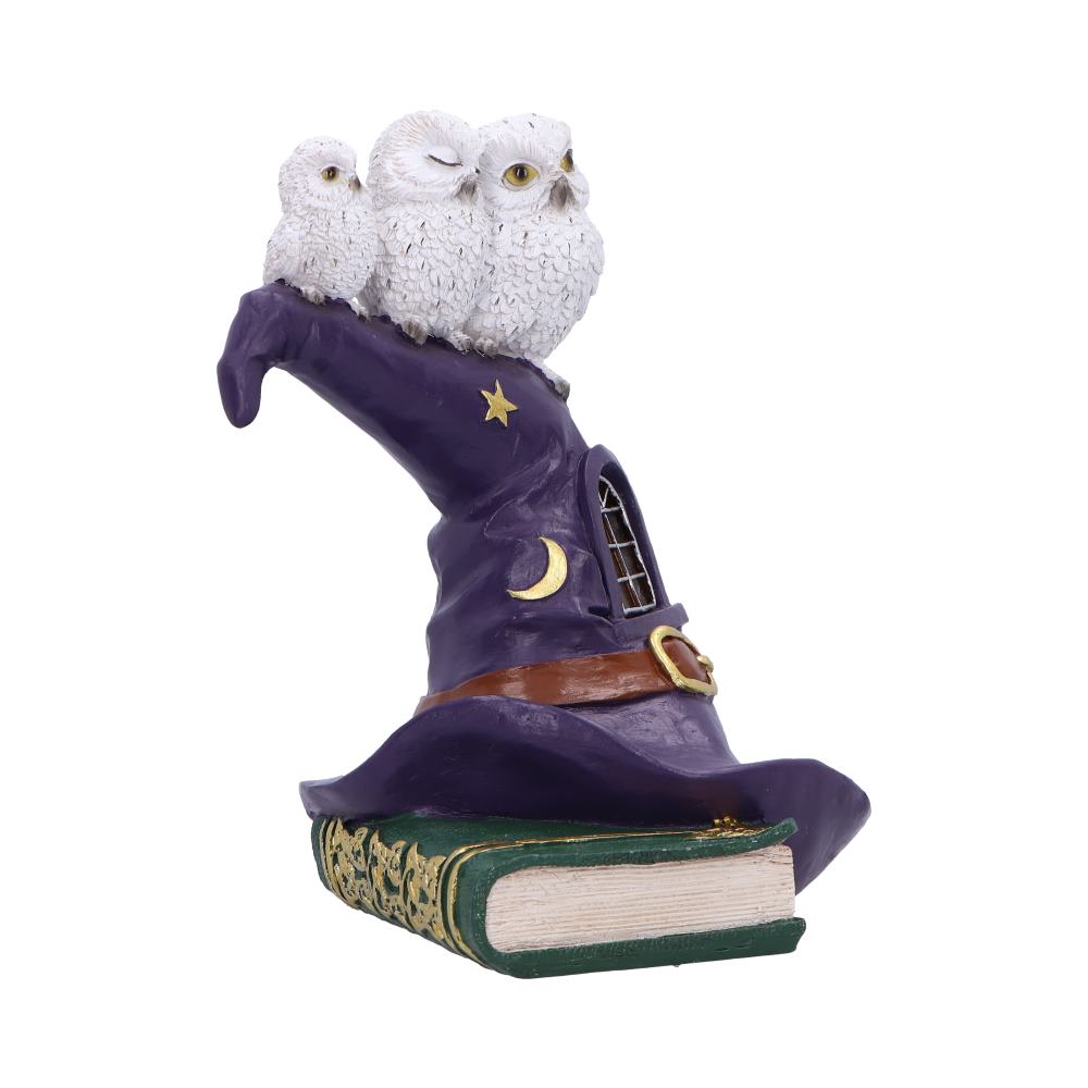 The Witching Perch 18.3cm