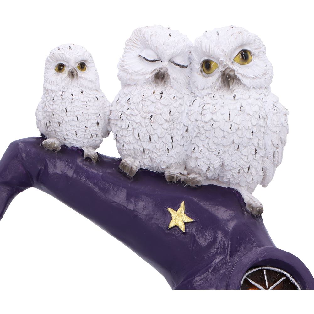 The Witching Perch 18.3cm