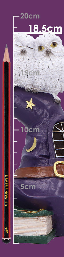 The Witching Perch 18.3cm