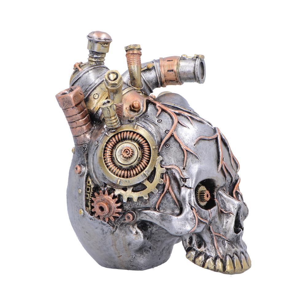 Silver Cardiac Cranium figurine by Nemesis Now, 17.5cm, featuring detailed skeletal and heart elements in a metallic finish.