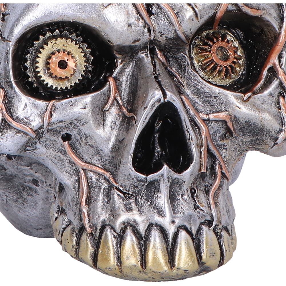 Silver Cardiac Cranium figurine by Nemesis Now, 17.5cm tall, detailed sculpted skull with intricate design and metallic finish.