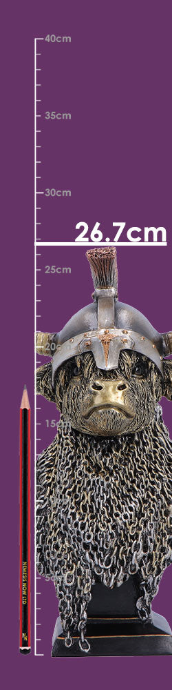 Nemesis Now Highland Guard figurine, 26.7cm tall, detailed fantasy warrior sculpture with armor and weapon, collectible decorative piece.