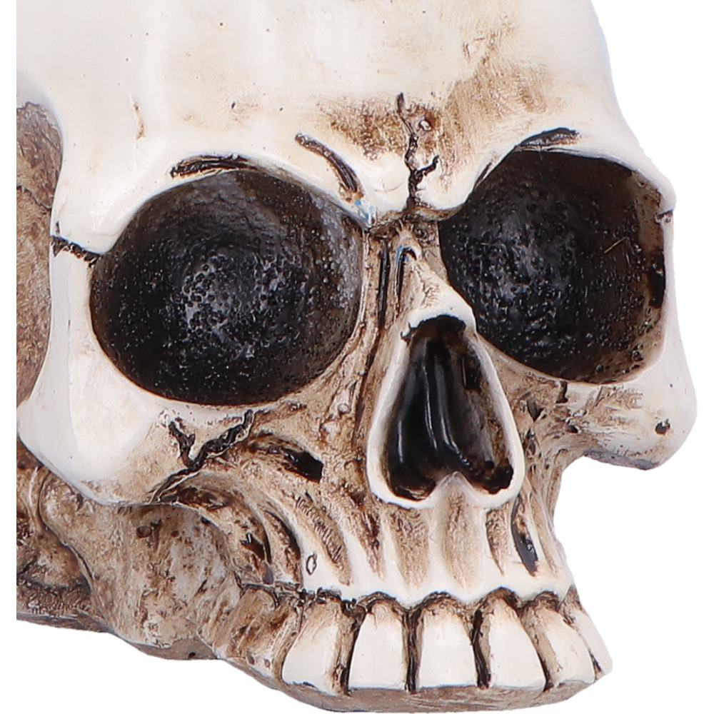 Nemesis Now Nevermore Vigil 19.5cm figurine featuring intricate dark-themed design and detailed craftsmanship.