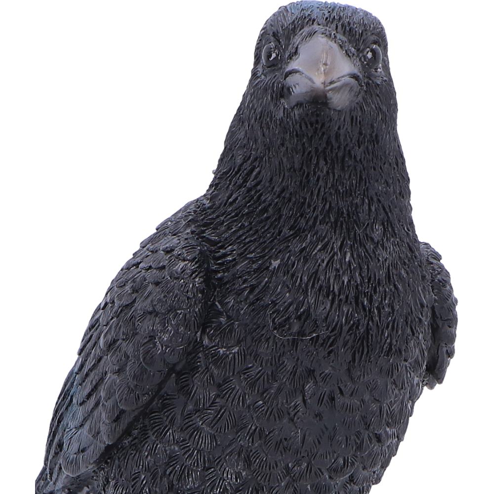 Nemesis Now Nevermore Vigil figurine, 19.5cm tall, detailed dark-themed collectible sculpture with gothic design elements.