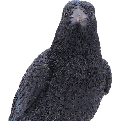 Nemesis Now Nevermore Vigil figurine, 19.5cm tall, detailed dark-themed collectible sculpture with gothic design elements.