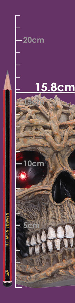 Nemesis Now Rooted Remains 15.8cm figurine with detailed, dark-themed design featuring rooted, skeletal elements.