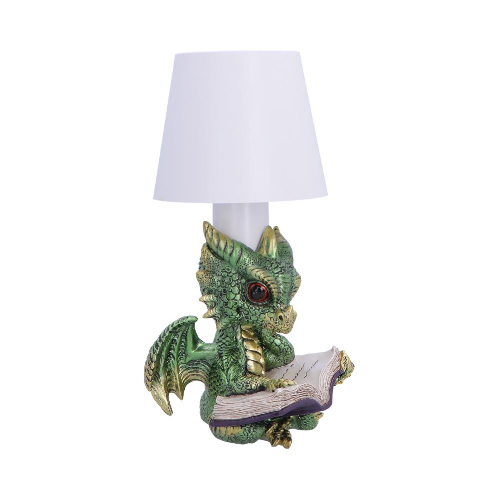 Nemesis Now Bookwyrm Lamp, 24.4cm decorative lamp featuring a detailed dragon design, perfect for fantasy-themed decor.