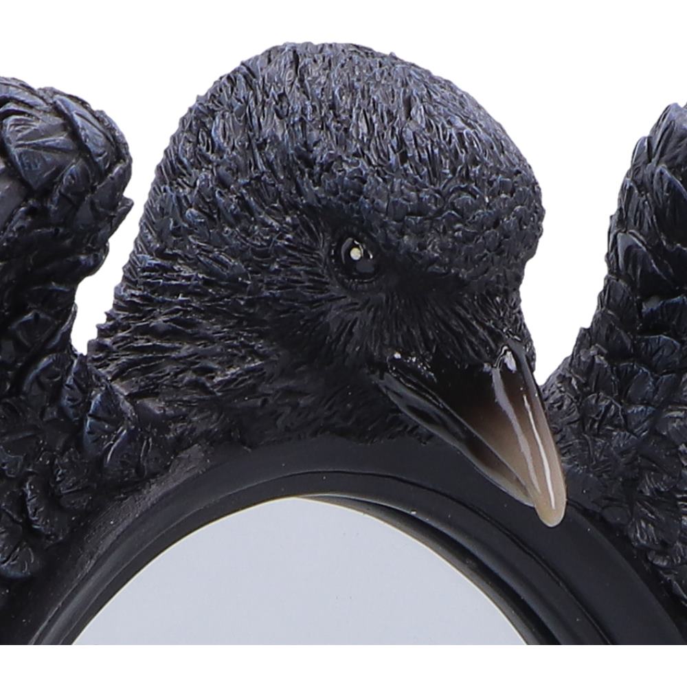 Nemesis Now Nevermore Reflection mirror, 30.2cm, featuring dark, gothic-inspired design with intricate details and a reflective surface.