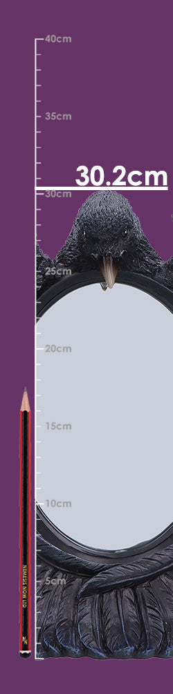Nemesis Now Nevermore Reflection 30.2cm decorative mirror with a detailed, dark-themed design featuring gothic-inspired artwork.