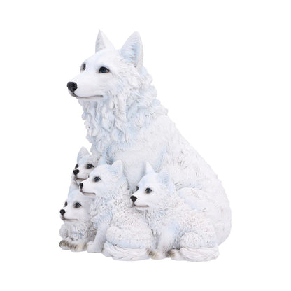 Arctic Bond 16.7cm