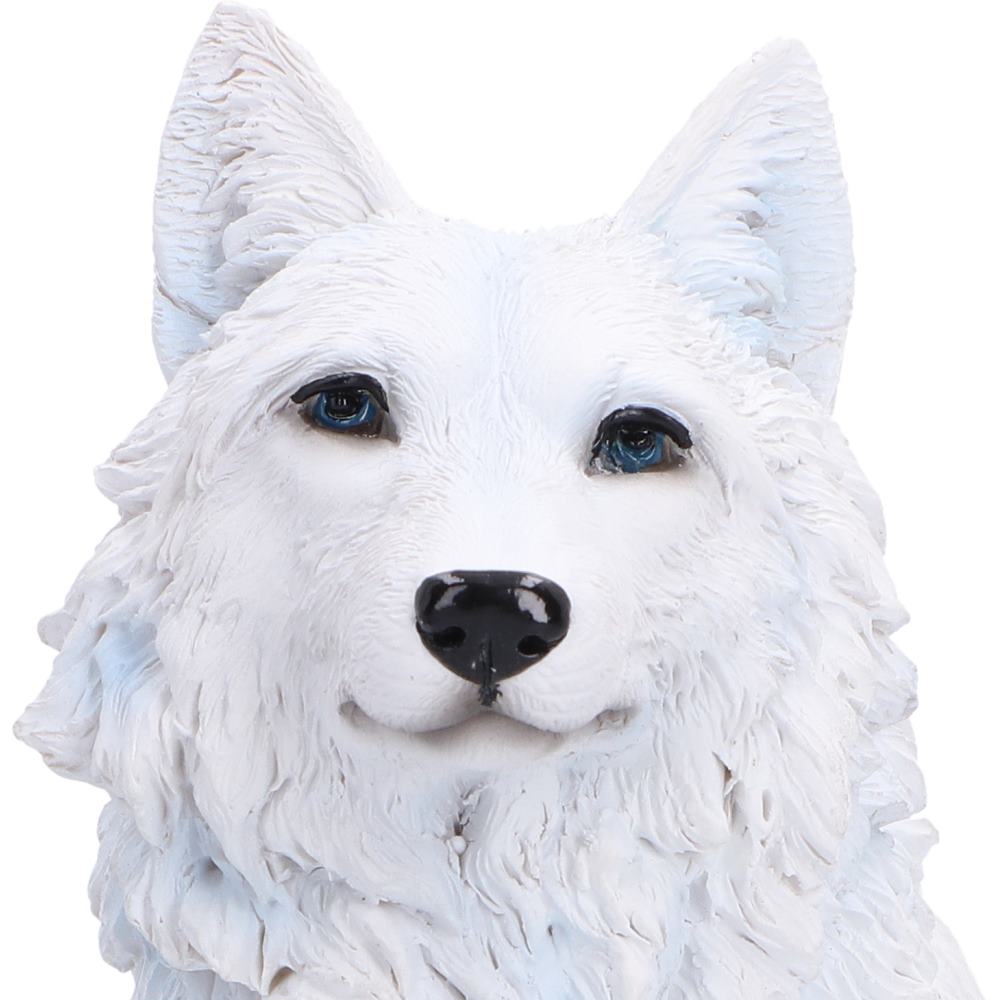 Arctic Bond 16.7cm