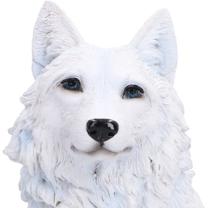 Arctic Bond 16.7cm