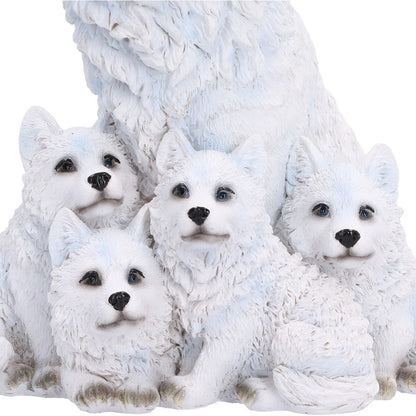 Arctic Bond 16.7cm