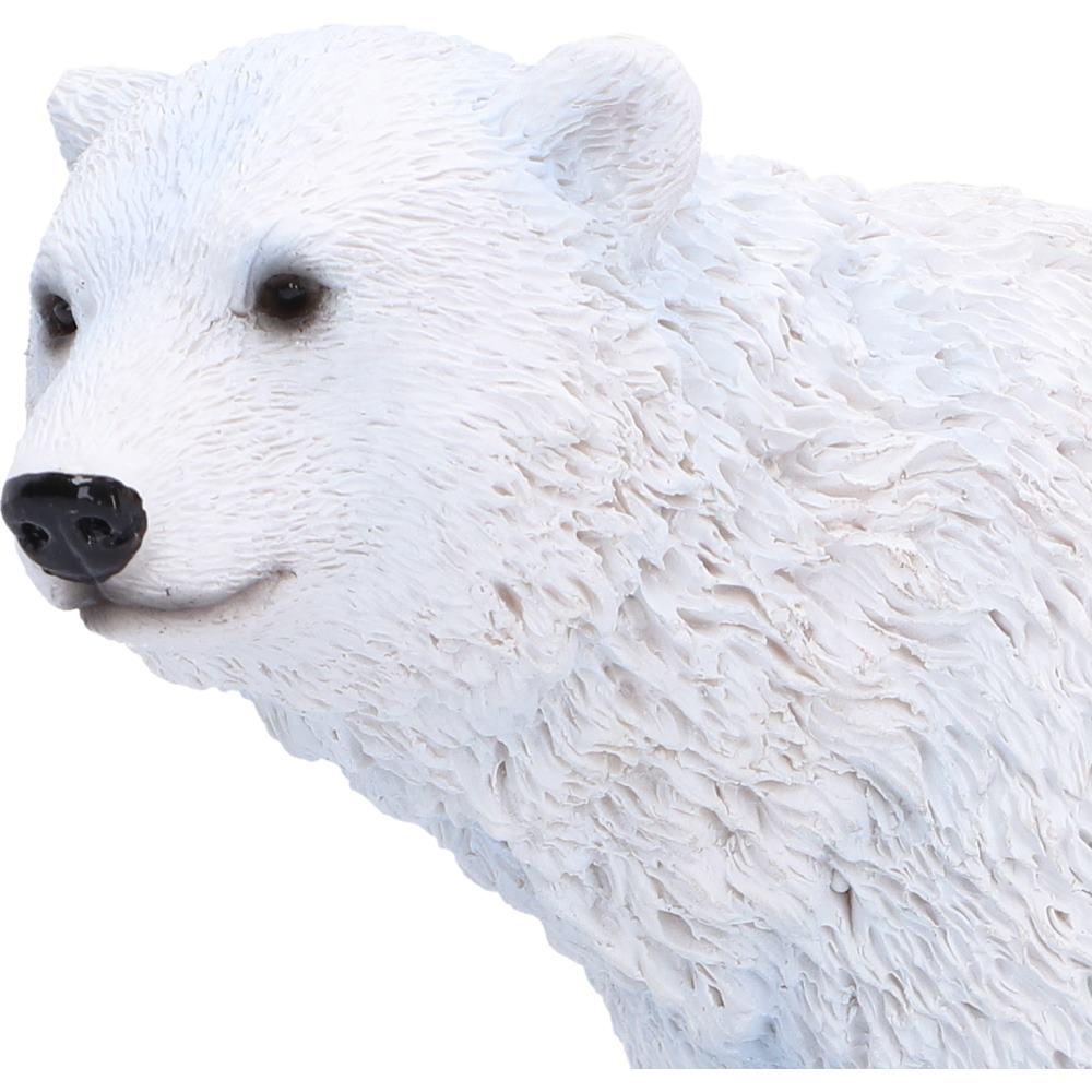 Polar Family 11.2cm