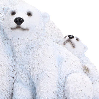 Polar Family 11.2cm